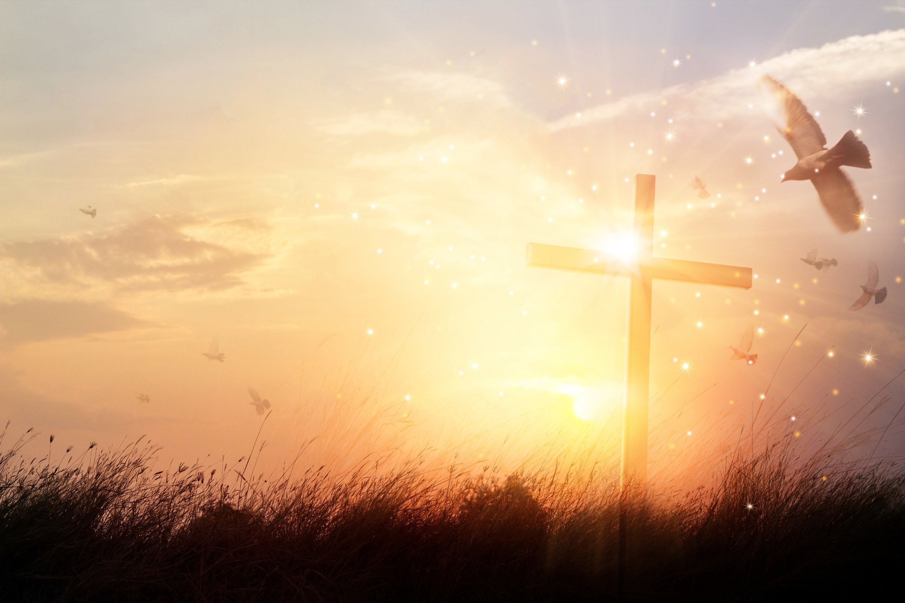 Silhouette christian cross on grass at sunrise background with miracle bright lighting, religion and worship concept